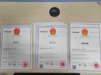 注冊公司 代理記賬公司注冊提供個體戶注冊、內資公司注冊服務