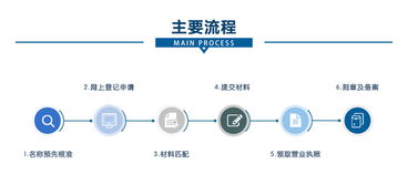 內(nèi)資集團(tuán)公司注冊(cè)